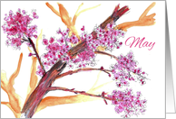 Happy May Day Pink Flower Blossoms Watercolor card