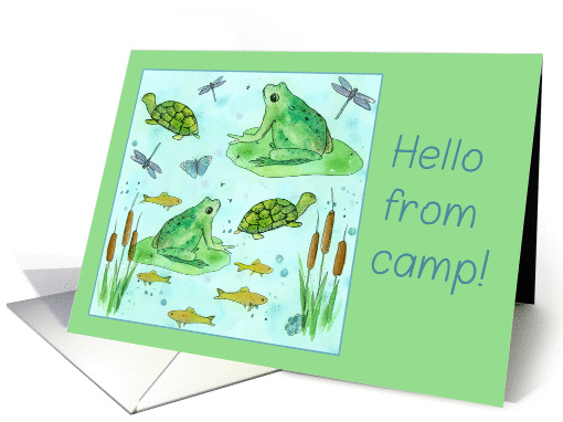 Hello From Camp Frogs Turtles Butterflies Fish Watercolor Art card