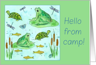 Hello From Camp Frogs Turtles Butterflies Fish Watercolor Art card