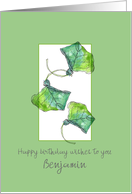 Happy Birthday Green Leaves Summer Custom Name card