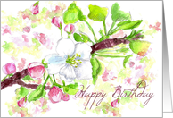 Happy Birthday Spring Apple Blossoms Botanical card