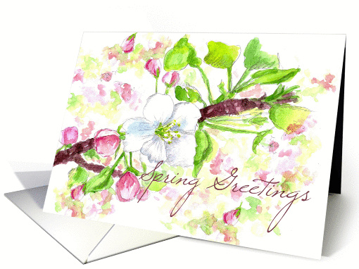 Spring Greetings Apple Blossoms Botanical Illustration card (1323732)