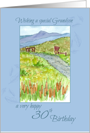 Happy 30th Birthday Grandson Mountain Hiking Trail card
