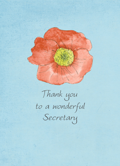 Thank You Secretary...