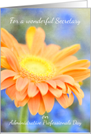 Happy Administrative Professionals Day Secretary card