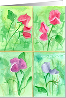 Pink Sweet Pea Watercolor Flowers Blank card