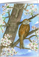 Congratulations Sparrow Bird Flowering Tree Nature Painting card