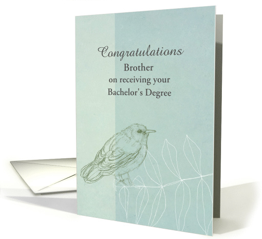 Congratulations Brother Bachelor's Degree Custom card (1380974)