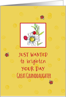 Thinking of You Great Granddaughter Ladybugs Daisy card