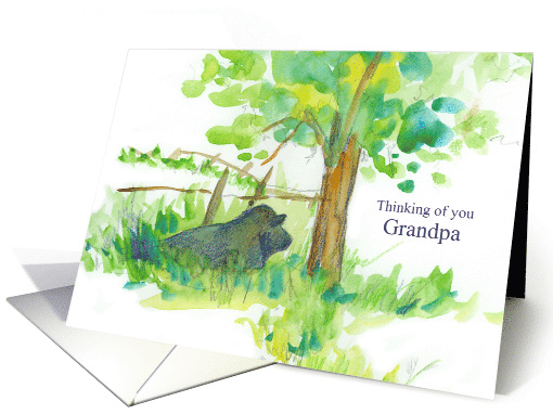 Thinking of You Grandpa Cow In Meadow Farm Animal card (1383956)
