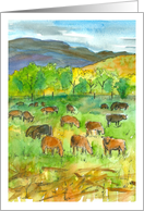 Cows In Pasture Mountain Landscape Blank card