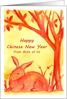 Happy Chinese New Year Of The Rabbit From Both Of Us card