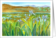 Thank You Wild Iris Meadow Landscape Watercolor Painting card