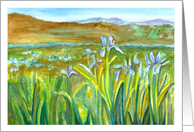 Wild Iris Meadow Wildflower Landscape Blank card