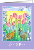 Just A Note Quail Birds Pink Tulips Blank card