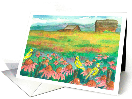 Country Barn Meadowlark Birds Coneflowers Watercolor Blank card