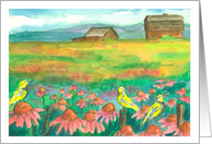 Country Barn Meadowlark Birds Coneflowers Watercolor Blank card