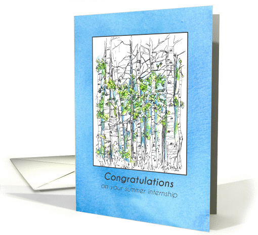 Congratulations Summer Internship Colorful Wildflowers Watercolor card