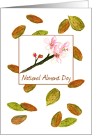 National Almond Day Tree Nuts Pink Flower Blossoms card