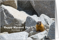 Happy Marmot Day February 2 Animal Rocks Nature Photography card