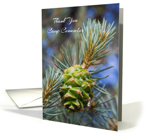 Thank You Camp Counselor Pine Cone Evergreen Tree Photograph card