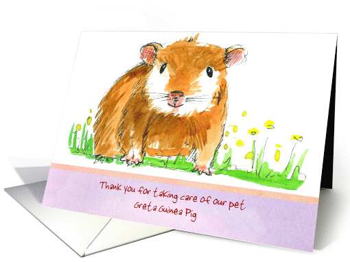 Pet Sitter Thank You Guinea Pig Animal Drawing card (1439804)