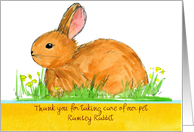 Pet Sitter Thank You Rabbit Animal Custom card