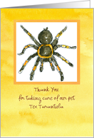 Pet Sitter Thank You Tarantula Spider Custom card