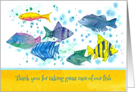 Pet Sitter Thank You Tropical Fish Watercolor card