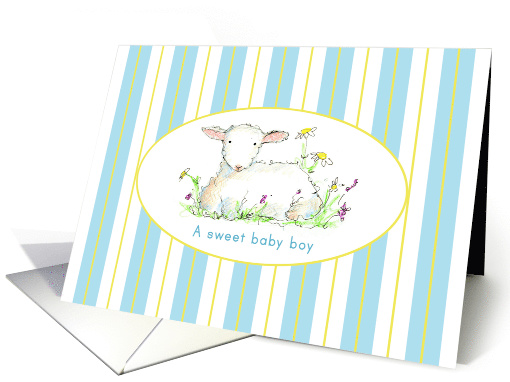 New Baby Boy Birth Announcement Little Lamb card (146528)