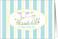 New Baby Boy Birth Announcement Little Lamb card