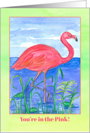 Good Health Feeling Better Flamingo Bird Frog Pond card