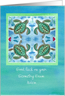 Good Luck On Your Exams Watercolor Turtles Custom card