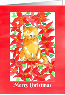 Merry Christmas Cat Red Poinsettia Flowers card