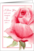 I Love You Will You Marry Me Pink Rose Watercolor Flower card
