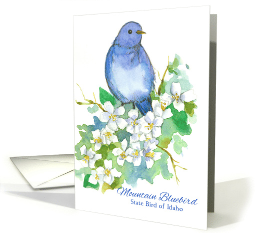 Mountain Bluebird State Bird of Idaho Watercolor Syringa Flower card