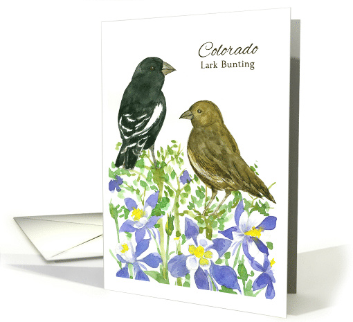 State Bird of Colorado Lark Bunting Columbine Wildflower... (1512382)