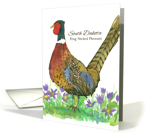 State Bird of South Dakota Prairie Crocus Flower Watercolor card