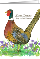 State Bird of South Dakota Prairie Crocus Flower Watercolor card