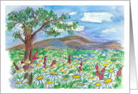 Field of Daisies Nature Inspiration Watercolor Landscape card