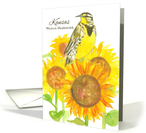 State Bird of Kansas Western Meadowlark Sunflower Watercolor card