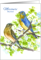 State Bird of Missouri Bluebirds Hawthorn Flower Watercolor card