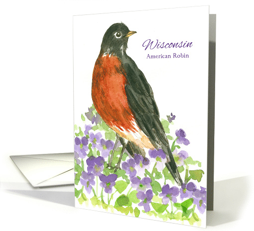 State Bird of Wisconsin American Robin Wood Violet Flower card