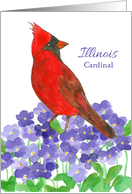 State Bird of Illinois Cardinal Purple Violet Wildflower card