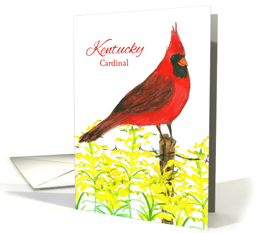 State Bird of Kentucky Cardinal Goldenrod Wildflower card (1517424)