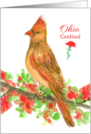 State Bird of Ohio Cardinal Red Carnation Flower card