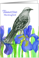 State Bird of Tennessee Blue Iris Flower card
