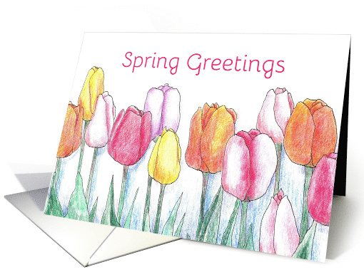 Spring Greetings Pink Tulip Flower Garden card (151820)
