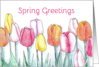 Spring Greetings Pink Tulip Flower Garden card