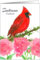 State Bird of Indiana Cardinal Peony Flower card